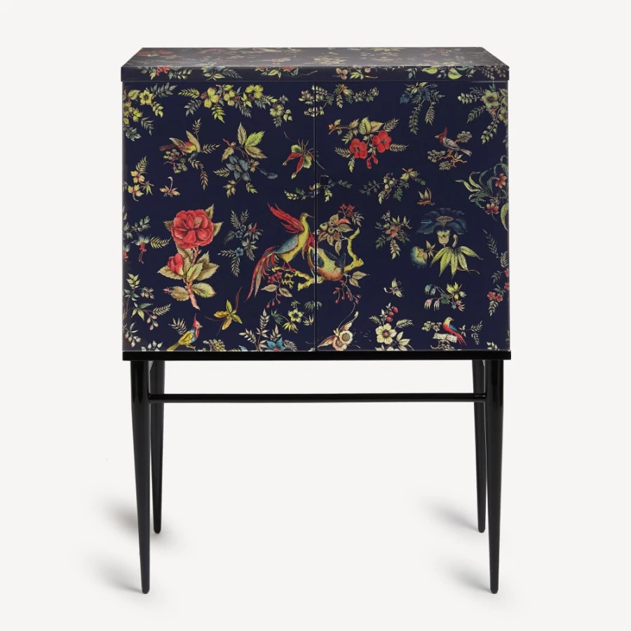 Fornasetti Raised Cabinet Coromandel Multicolour Design Collector's Piece
